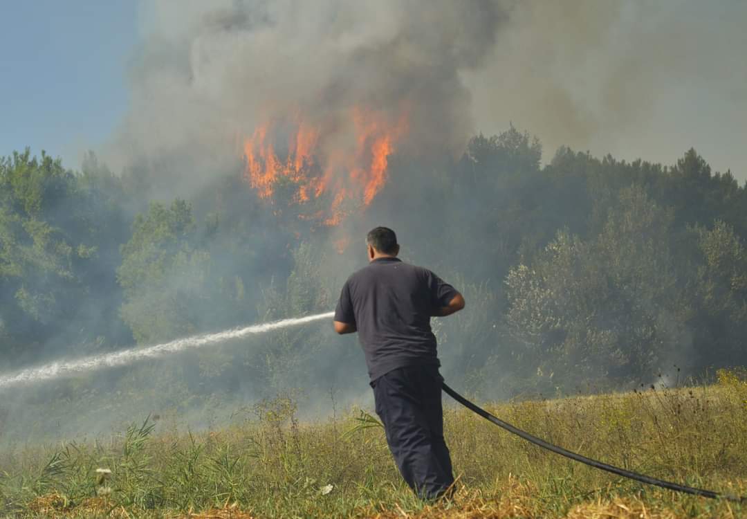 🔥 L'#Albanie 🇦🇱 demande l'aide européenne pour faire face à une vague d'#incendies en cours depuis 8 jours. 

👉 Un incendie inquiète principalement à proximité de la ville de #Fier. 

🤝 La Grèce envoie 2 Canadair (CL415). 

🌳 700 hectares ont été brûlés. 

🚒 Des centaines de