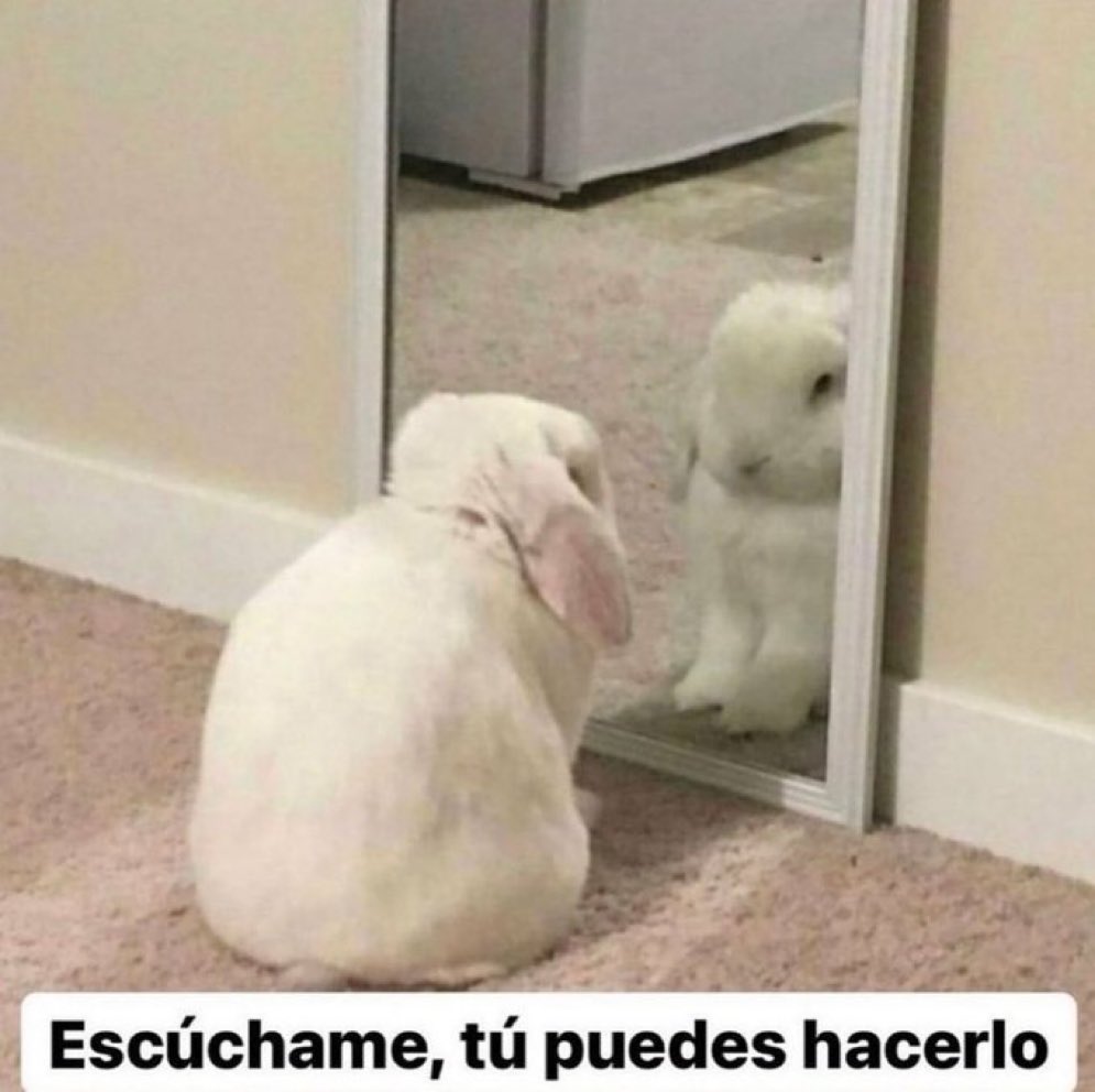 yo todas las mañanas