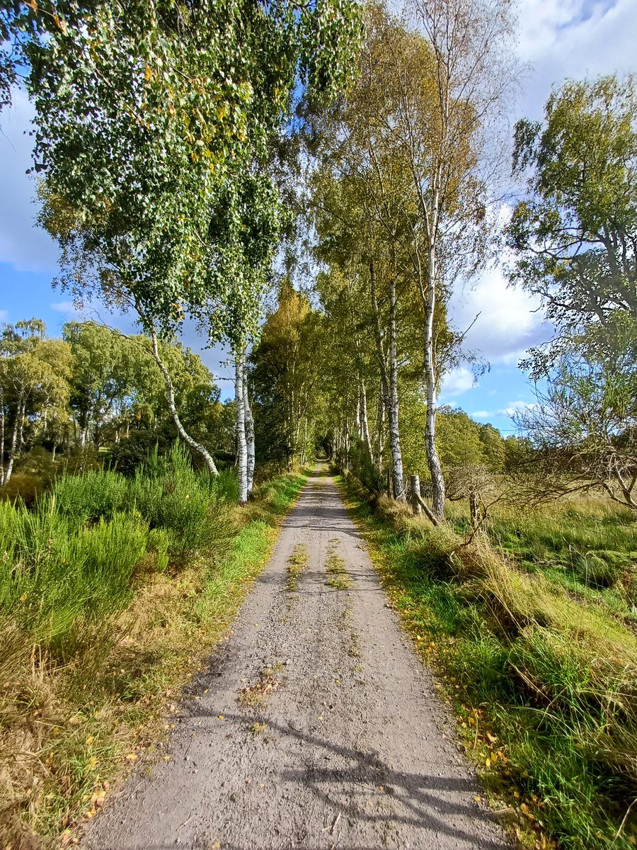 ride_the_north's tweet image. Deeside Way! All the Way! 70.5 km Aberdeen to Ballater #Aberdeenshire (65 of which traffic free). Summer not giving in to Autumn without a fight! 🚴☀️🏴󠁧󠁢󠁳󠁣󠁴󠁿👌