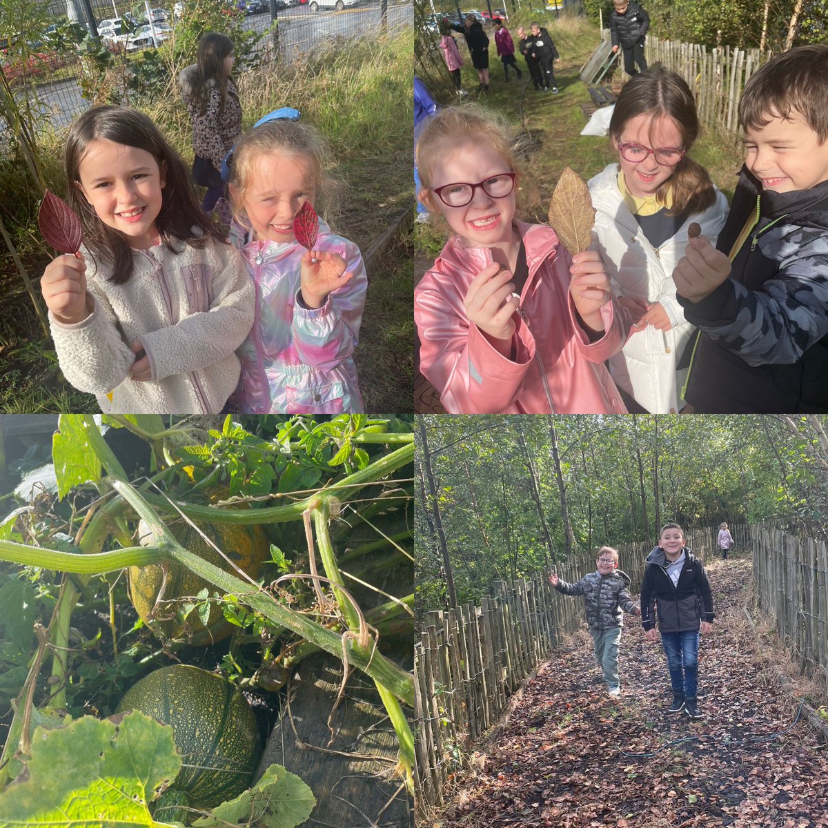 Mrs_RWilson's tweet photo. Primary 3 went out for a walk around our school grounds to look for and collect signs of autumn 🍂 🎃 @JPrimary  #outdoorfun  #autumn https://t.co/cJVxQZSegH