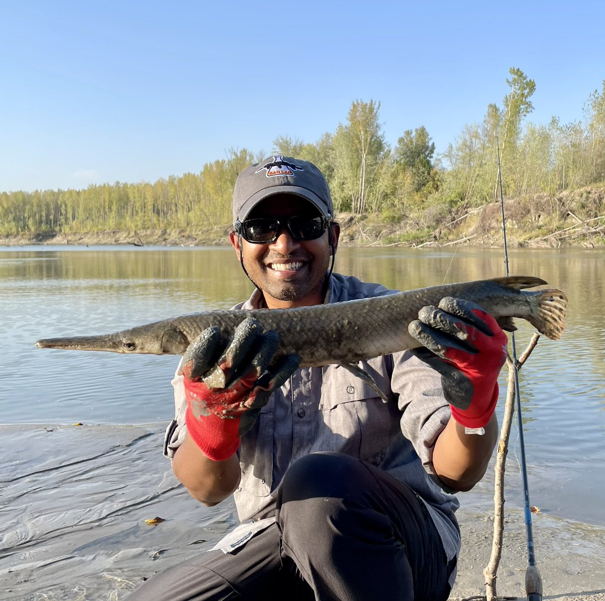 SolomonRDavid's tweet photo. “MINNESOGAR!!!”
Thanks to @TheRoughFish🎣, we got @TheGarLab’s FIRST Minnesota gar! A Shortnose Gar from the Minnesota River!
This is only the beginning, already looking forward to our next MN #GarTrek! https://t.co/AdmsjFveiM