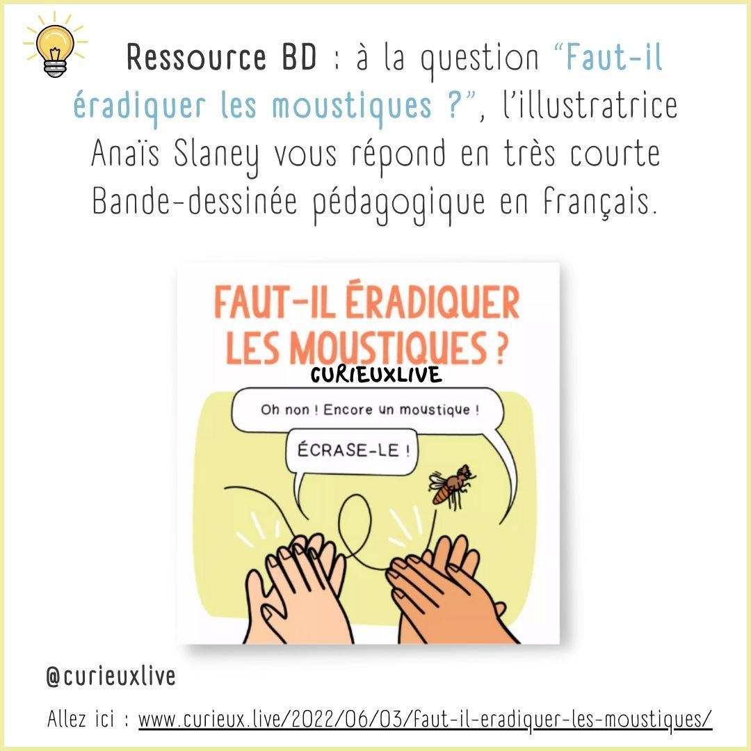 🌿 "Bon sang de bonsoir" saviez-vous que seules les femelles #moustiques nous #piquent ? Car elles ont besoin de #sang pour nourrir leur progéniture et perpétuer l’ #espèce. Autrement les moustiques #pollinisent et sont un maillon de la #chaînealimentaire.
#mosquitoe #curieux