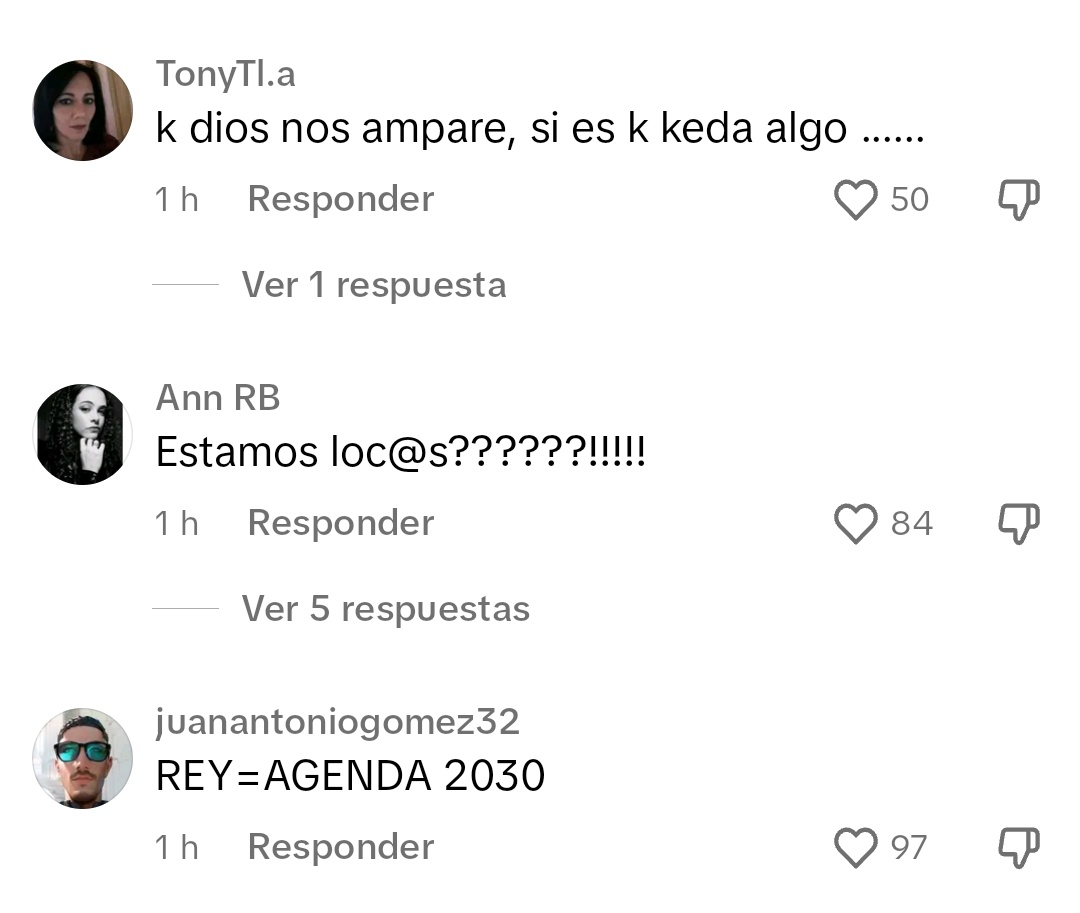 Comentarios en TikTok sobre el rey proponiendo a Pedro Sánchez para la investidura (mi sitio favorito de internet)
