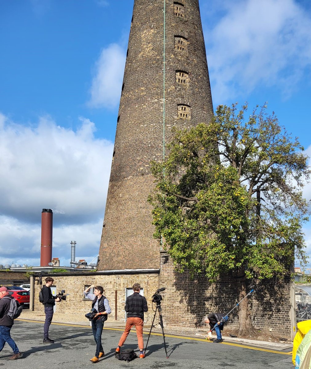 SAP_Landscapes's tweet image. SAP Landscapes carried out some very exciting work for @ApleonaIRL harvesting, what is claimed to be, Ireland's oldest fruit bearing tree. The pear tree of the Pryus Communis variety, is estimated to be 150 to 200 years old and is located beside @TheDigitalHub in Dublin.