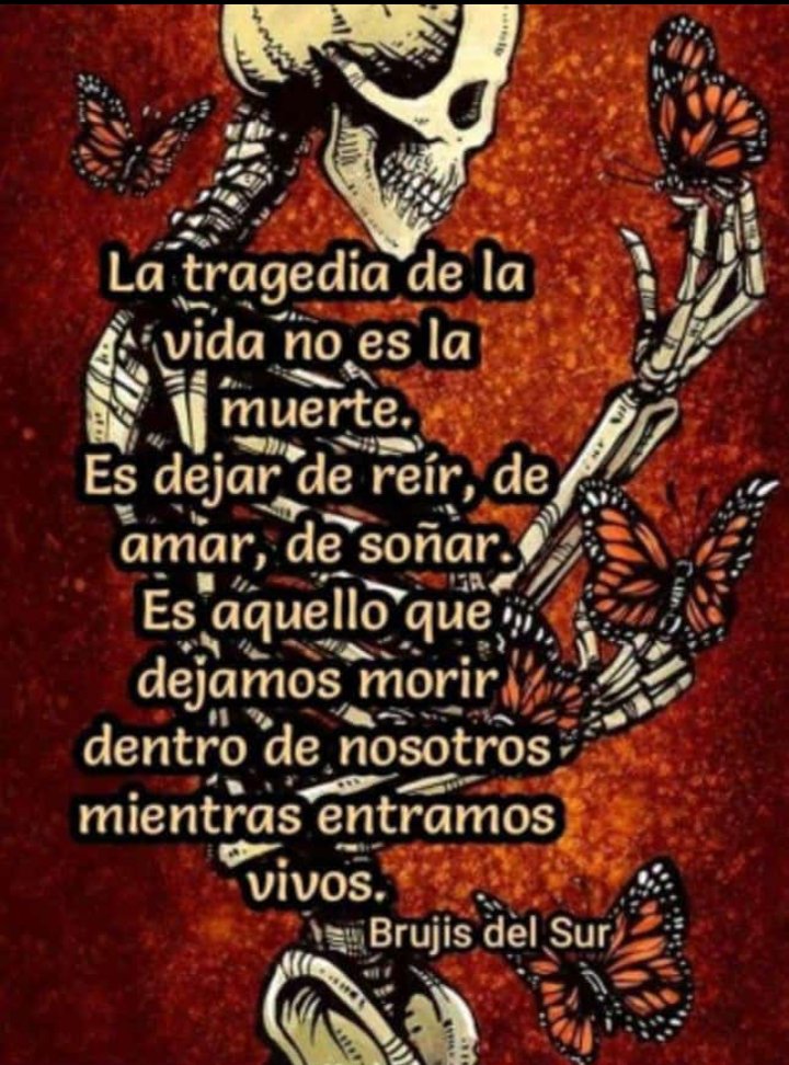 SarisLCO (@sarahilemusc) on Twitter photo 