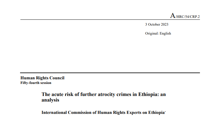Amnesty UN Office tweet media