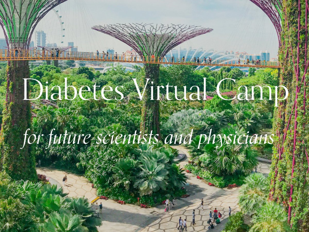 The @amdiabetesassn is supporting ‘Diabetes Virtual Camp’. This is a global virtual research internship program for young people interested in #diabetes. I shared inspirations and paths to impact. Learn more at diabetesvirtualcamp.org. #Leadership #Mentoring #t1d #t2d