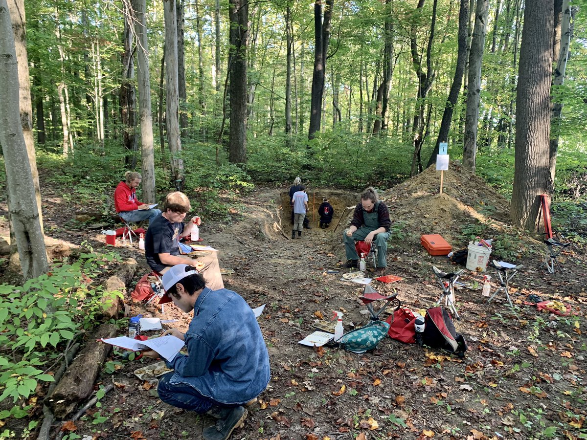 M.C. Ricker 🐲 tweet media