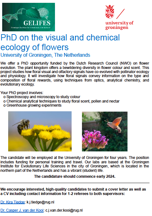 Casper van der Kooi tweet media