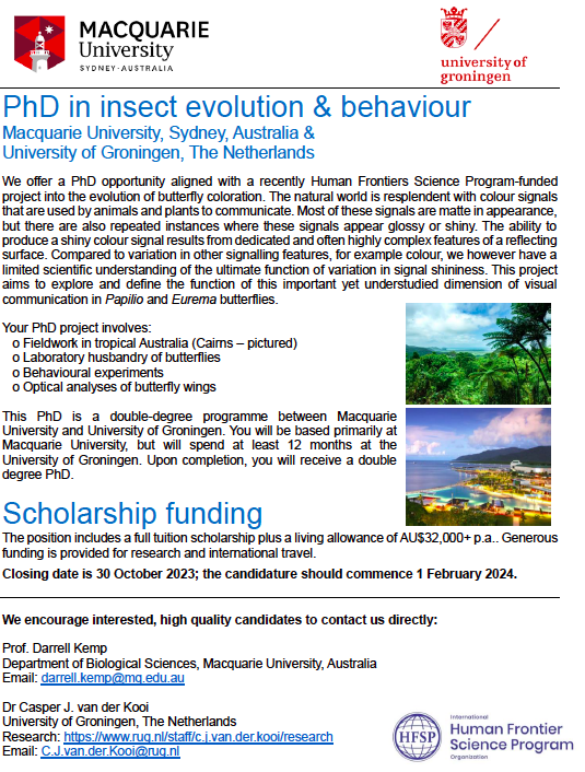 Casper van der Kooi tweet media