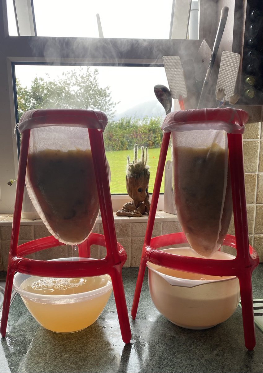 And so it begins 🍏 🌶️ 🫙