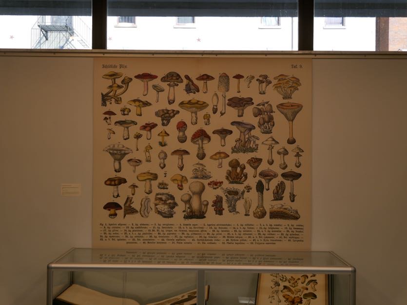 Councilman Mark Jeffreys tweet media