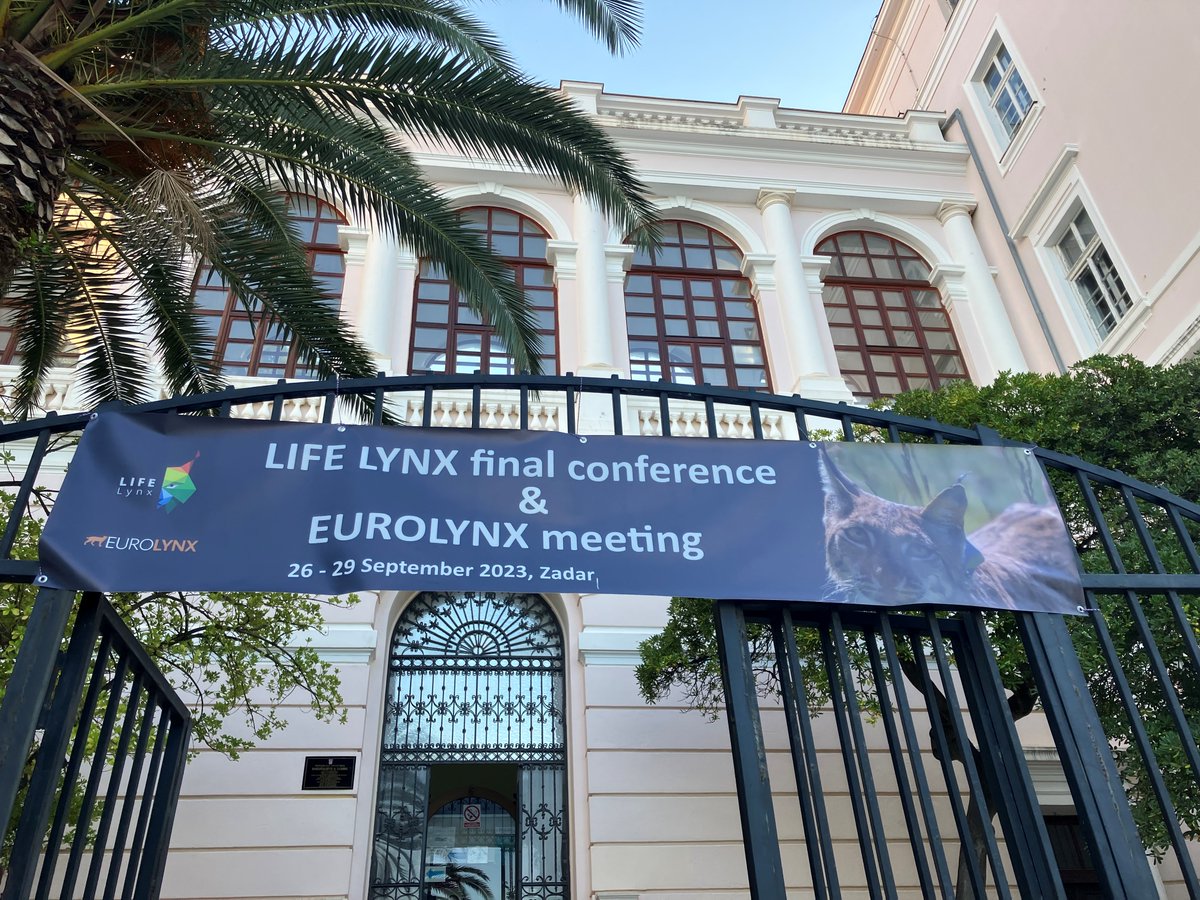 Wild_Ecol_Cons's tweet photo. This year the 6th Eurolynx meeting took place together with the Life Lynx conference in Zadar/Croatia. It was great to discuss research results with all the lynx nerds across Europe for 4 days. Thank you Magda Sindičić and team for the hospitality https://t.co/XaWwVHdfrj