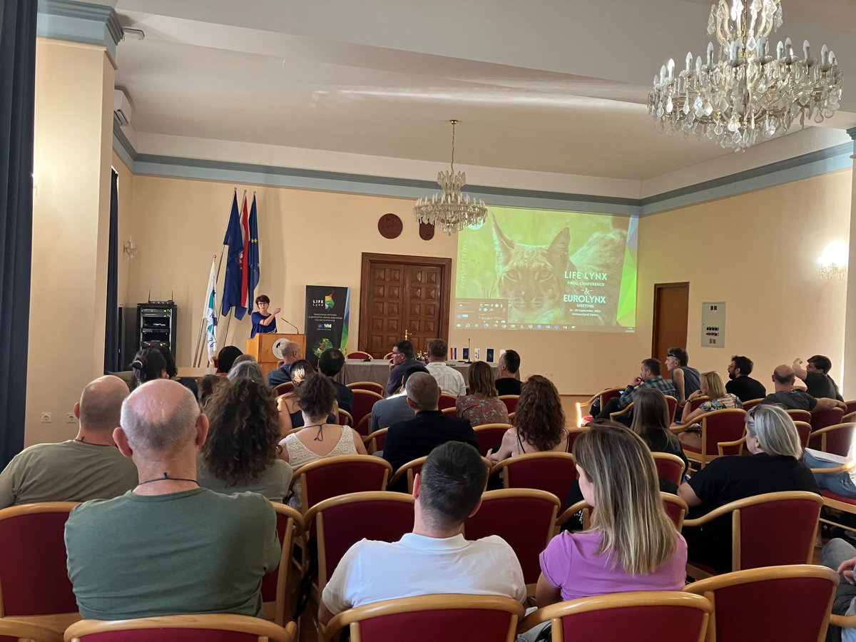 Wild_Ecol_Cons's tweet photo. This year the 6th Eurolynx meeting took place together with the Life Lynx conference in Zadar/Croatia. It was great to discuss research results with all the lynx nerds across Europe for 4 days. Thank you Magda Sindičić and team for the hospitality https://t.co/XaWwVHdfrj