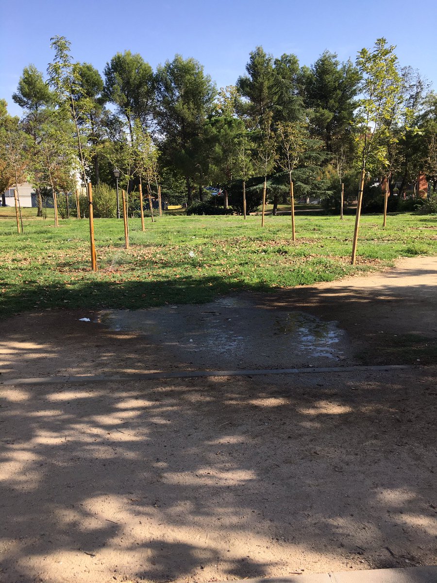n4gash's tweet photo. @ppyjj_alcorcon @AytoAlcorcon riego roto en el parque de las comunidades #alcorcon https://t.co/94n5DgyPFM