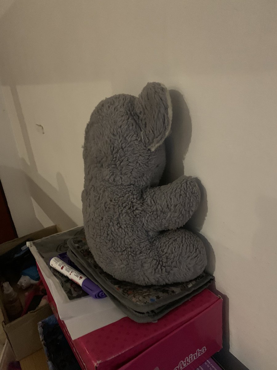 Renata, anoche, ya en su cama:

-Ary! Me alcanzas mi koala que está en el living?

Yo: -Reni, están todos tus juguetes en el linvig… cuál koala?

- El único que está en “pelitencia”…

El koala:
