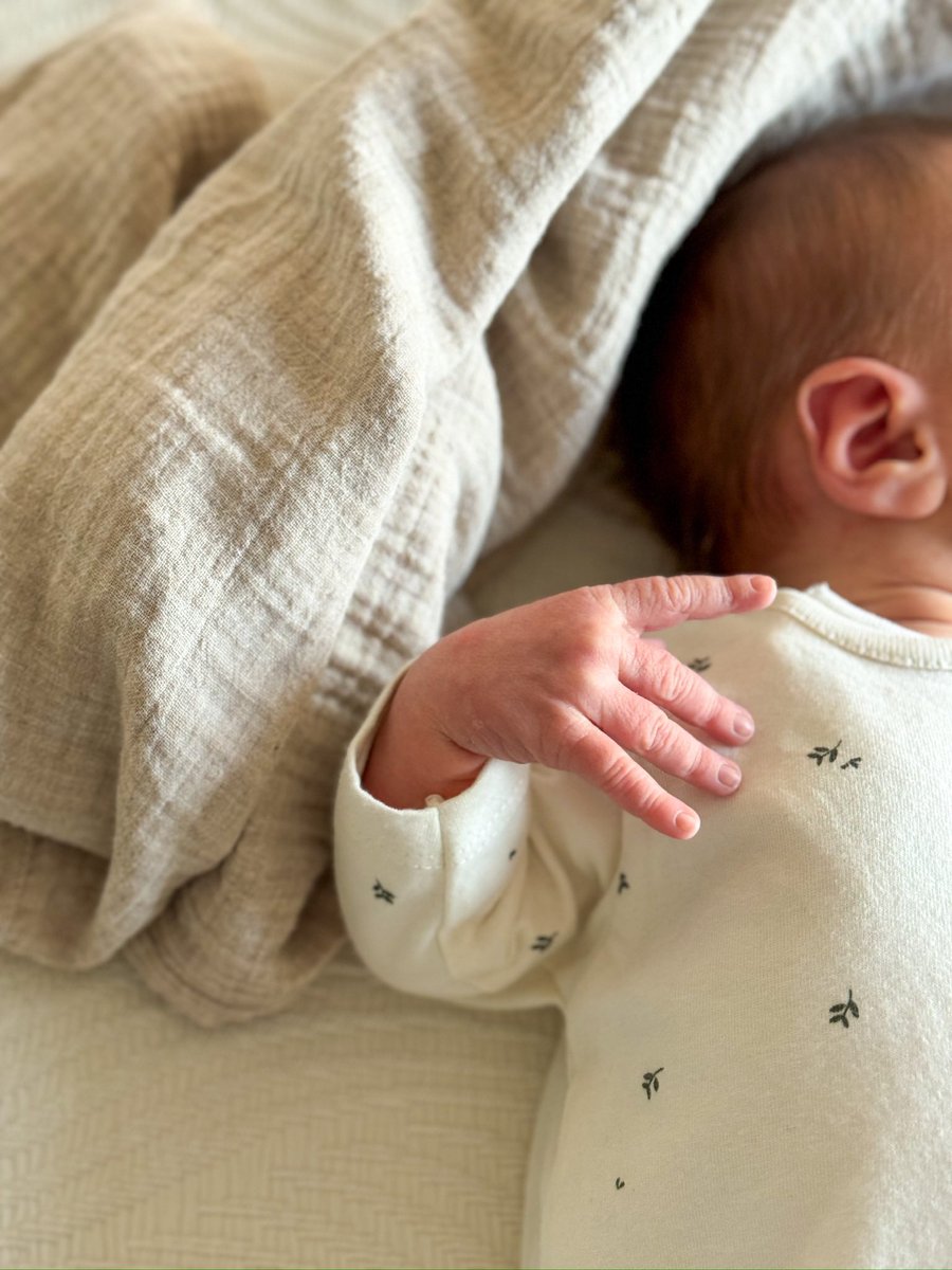 Douglas Hoyos tweet media