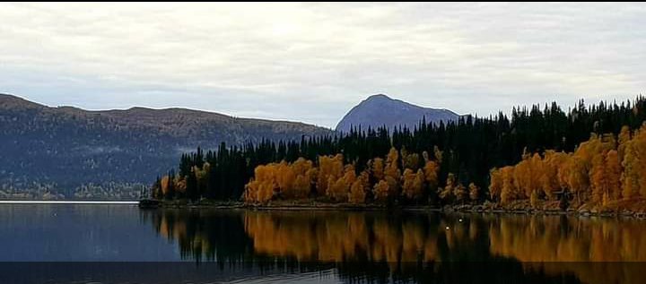 I live in peace, because for almost 2 years, Ukrainians have been shielding me with their blood. I'm not happy with this fact.....