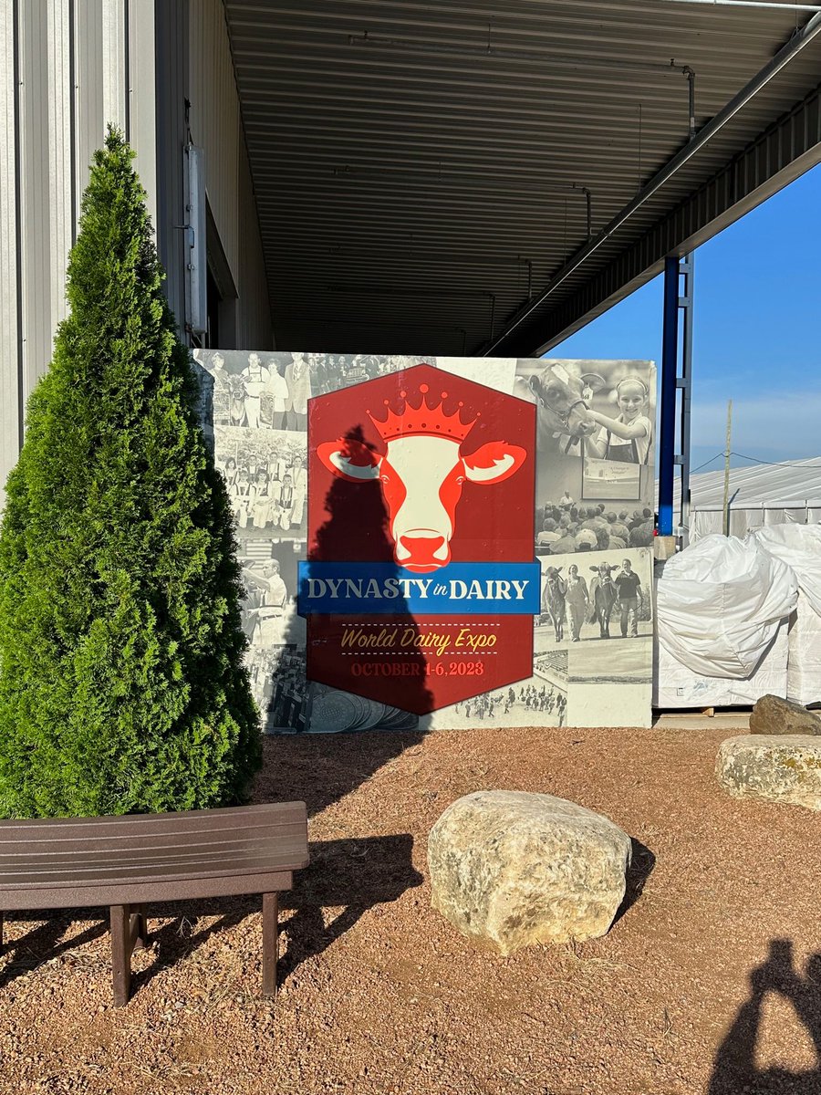 thecattlesite's tweet photo. It's show day! The Cattle Site is here at the #WorldDairyExpo and looking forward to a great few days https://t.co/GzSywVLmaa