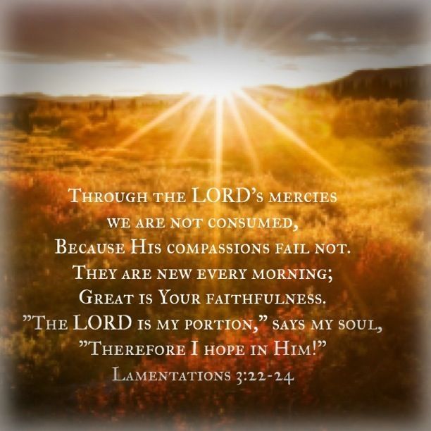 Brandon (@brandon47951265) on Twitter photo 