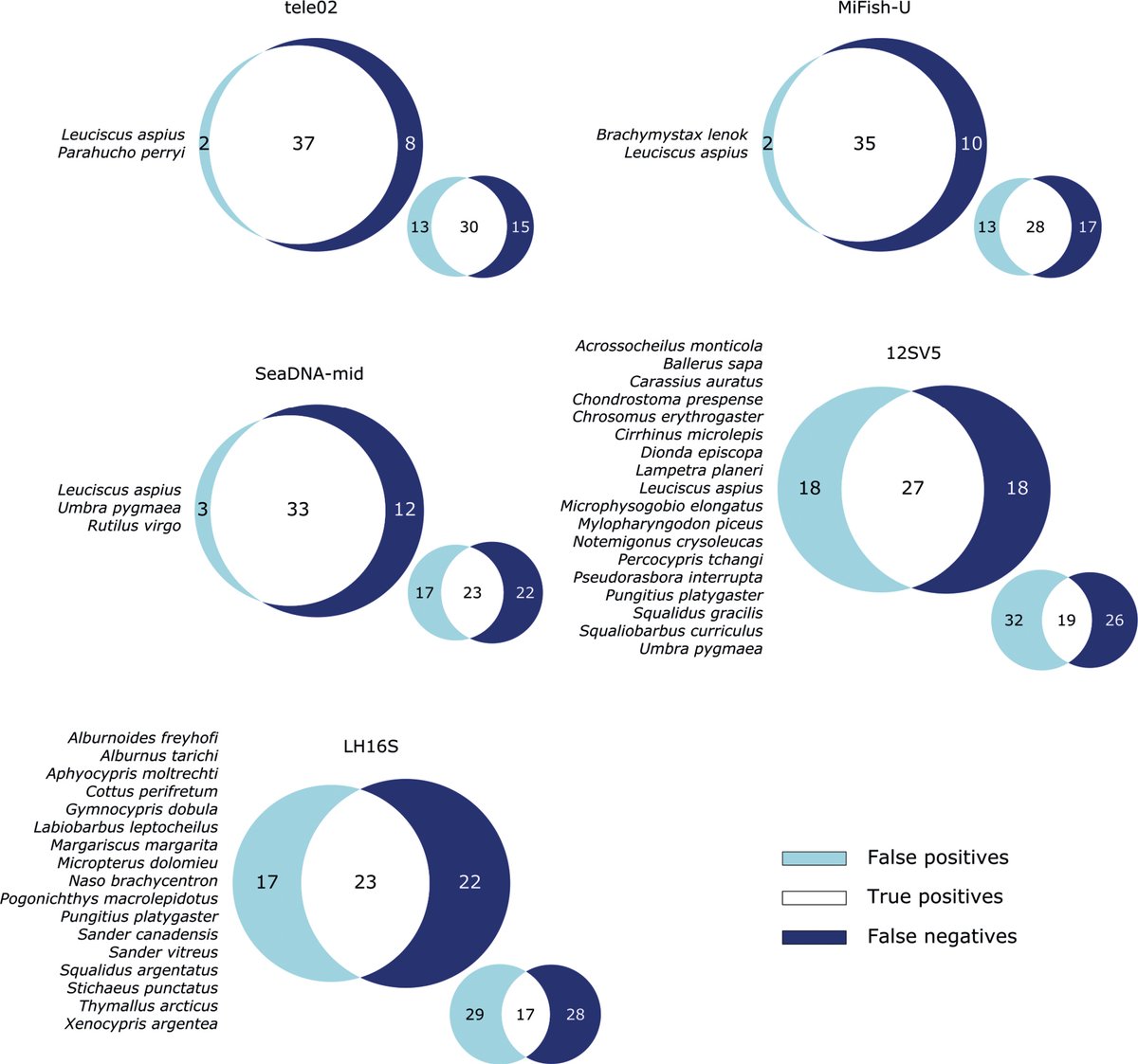 Evaluation of five commonly used #fish #eDNA metabarcoding primer pairs targeting three different barcode marker regions, testing their performance on an artificial community composed of DNA from 45 Central European fish species: doi.org/10.3897/mbmg.7…