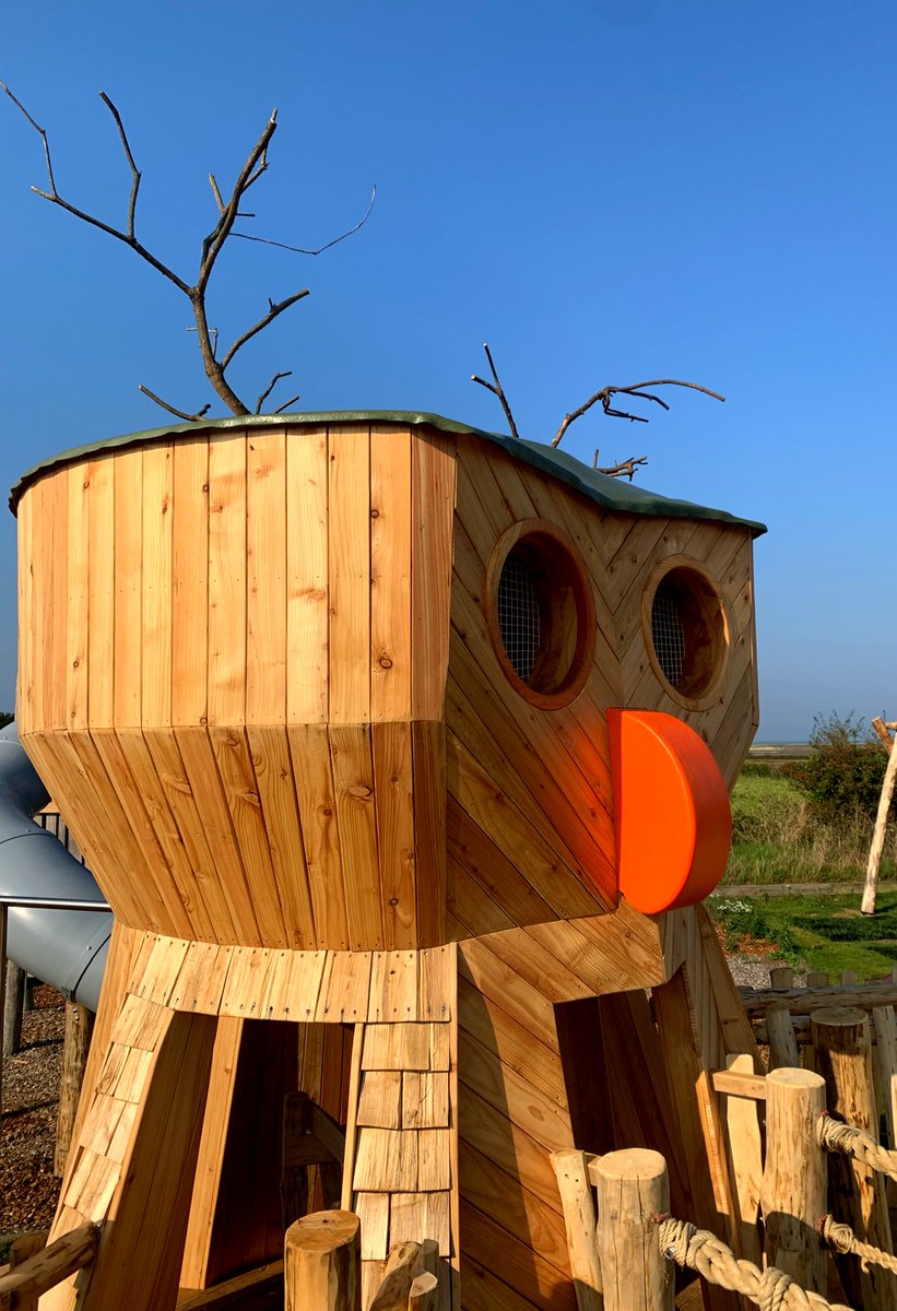 Flights of Fantasy tweet media