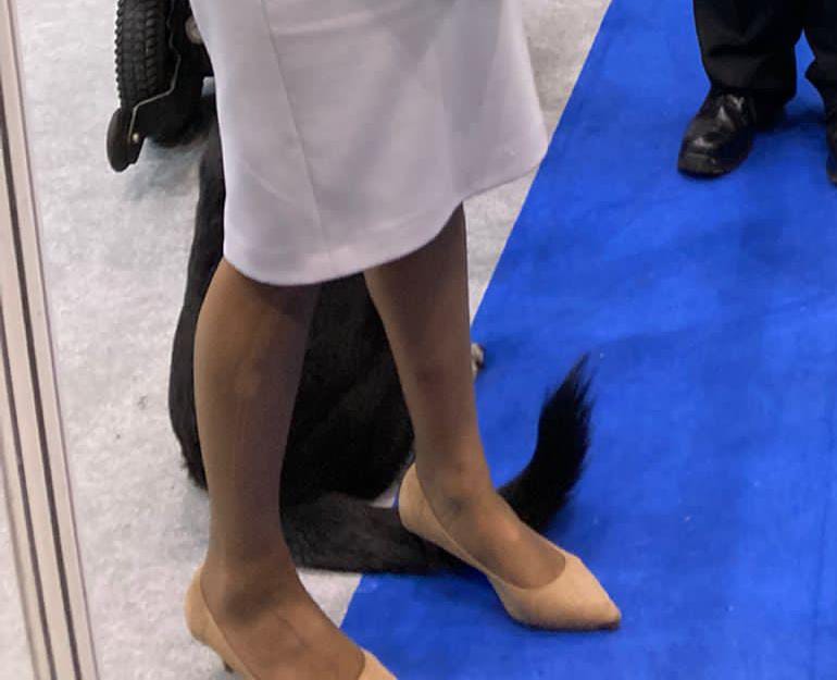 Not to be all insane moments in British politics, but here's Suella Braverman standing on a dog