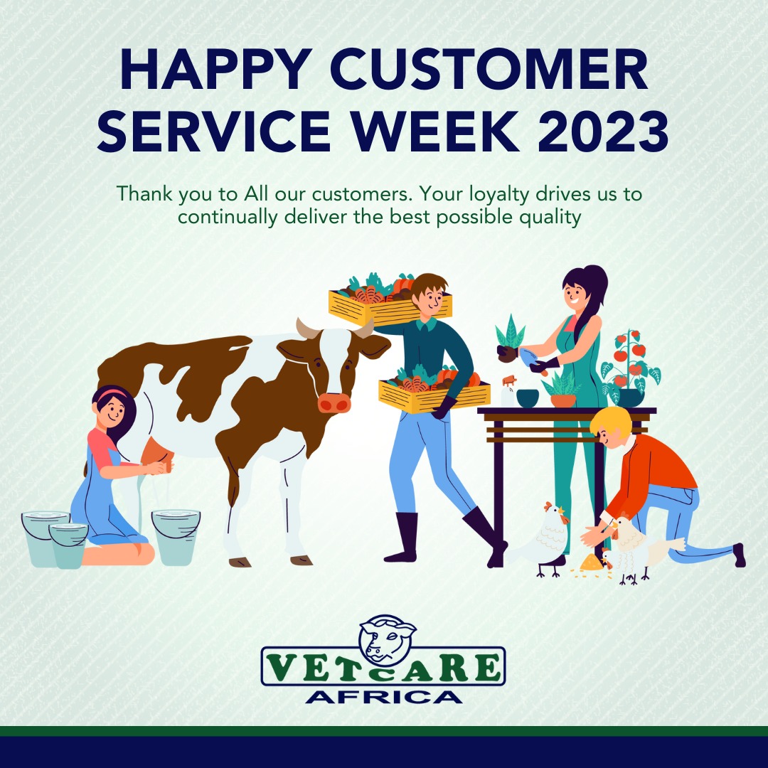 VetcareAfrica's tweet photo. We would like to take this opportunity to appreciate all our loyal customers. 

#customerserviceweek #thepowerofservice #customerserviceweek2023 #happycustomers #goodservice #qualityservice #qualityproducts #animalfarmers #kenyanfarmers #animalhealth #animalnutrition https://t.co/ewVWXHQdaM