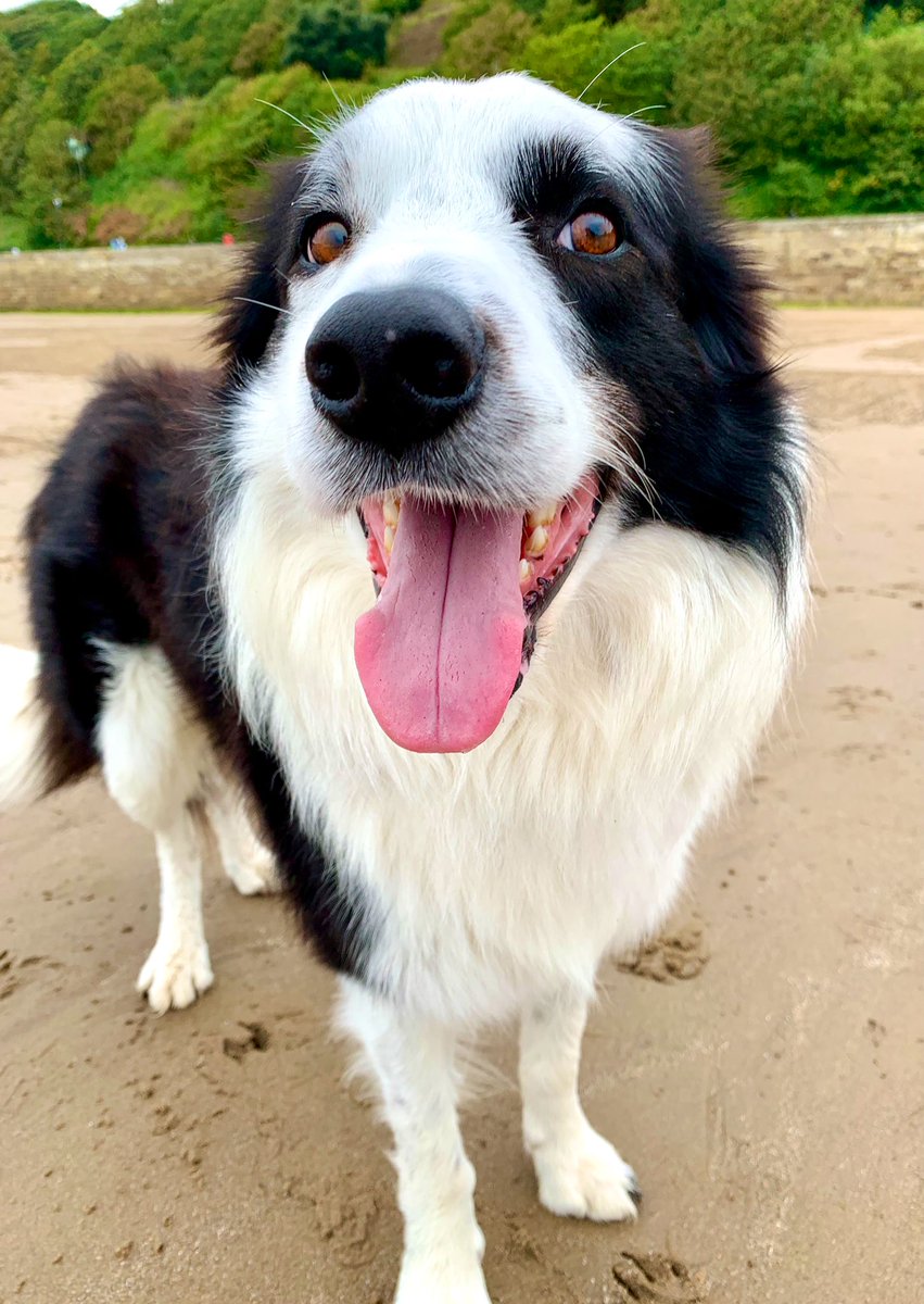 Happy Boopy Tongue out Tuesday everyone 💚