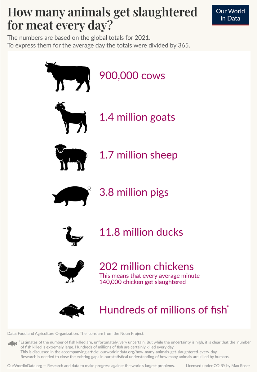 OurWorldInData's tweet photo. How many animals get slaughtered every day?

Hundreds of millions of animals get killed for meat every day.

Read more: https://t.co/FWDZlp9omm

From our new page on animal welfare: https://t.co/YkQBSFtRgs https://t.co/NEHUwI5T1m