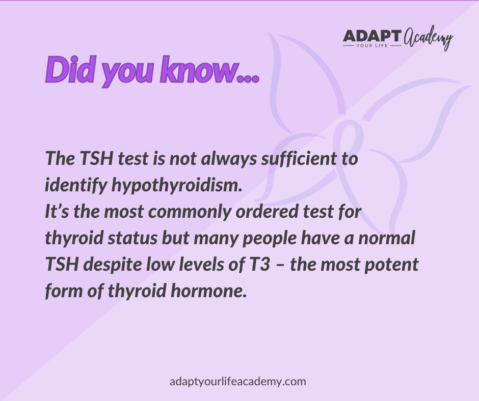 Adapt Your Life tweet media