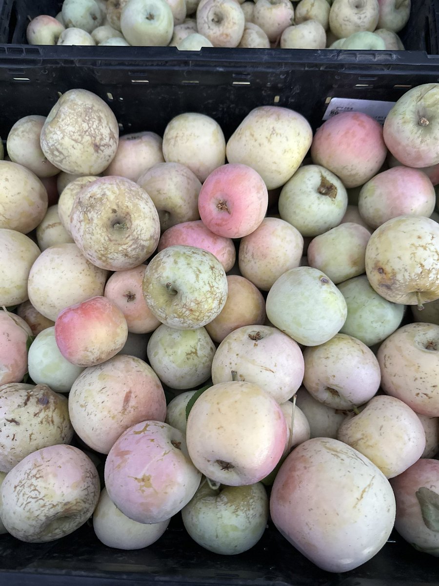 Fuji apples finally made it to our stand in this Thursdays market. Crisp and sweet, the best snack for any occasion. #southpasadena #organic #apple #healthyeats