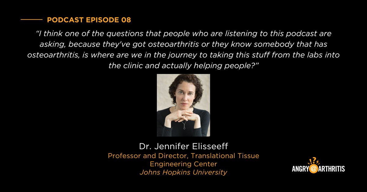 “I think one of the questions that people who are listening to this podcast are asking, because they've got osteoarthritis or they know somebody that has osteoarthritis, is where are we in the journey to taking this stuff from the labs into the clinic and actually helping