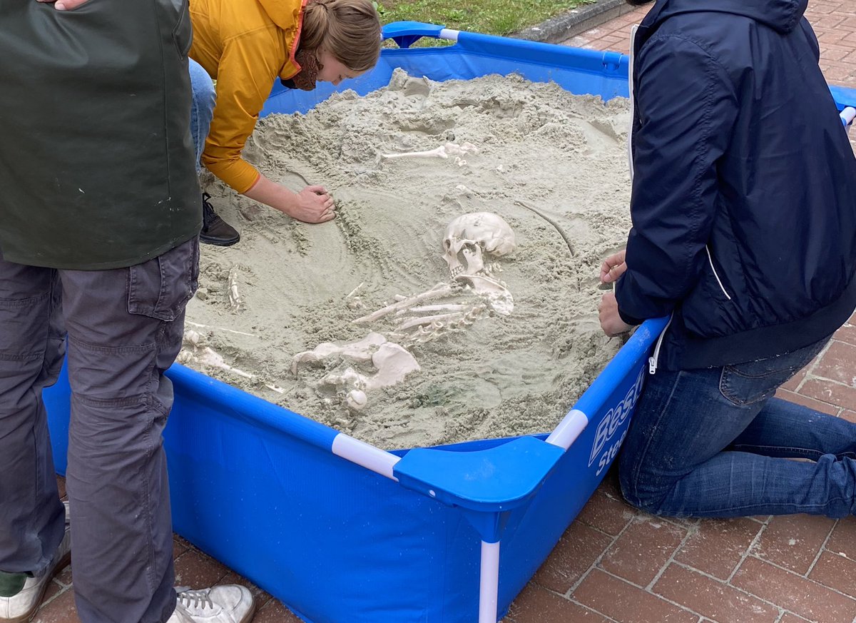 Second week of Physical Anthropology teaching @ArcheoUGent Next to an inhumation burial our master students tackled another challenge: a crouched burial and a commingled cave. Ah yes, we used blue dye to make a stratigraphy and A afarensis was the residing hominin. 😂