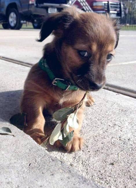 I'm not beautiful? But so far nobody has shared my photo 🙏😢❤️