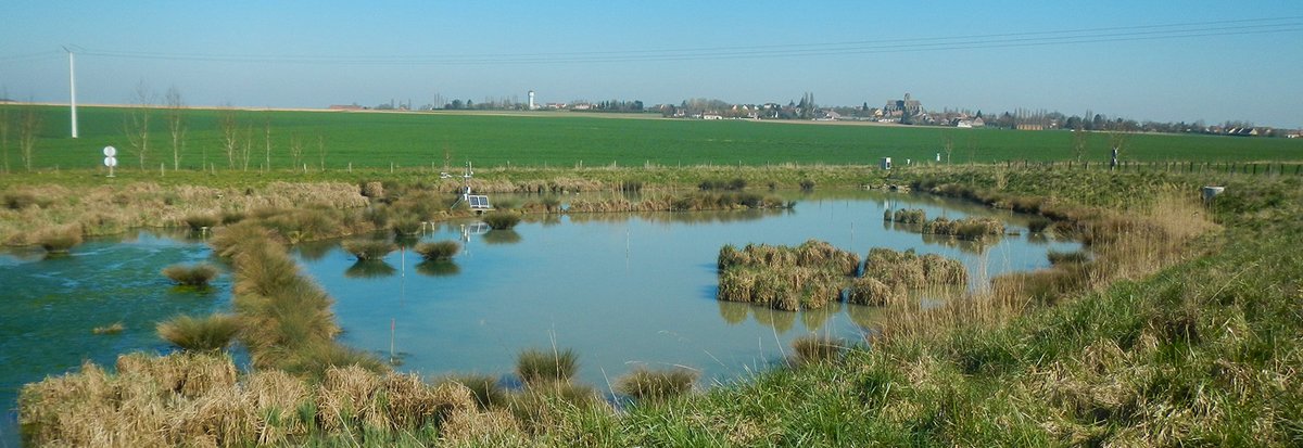 Toutes les explications complémentaires sur la 
Visite de la zone tampon humide de Rampillon dans le <a href="/Departement77/">Seine-et-Marne</a> @OFB, <a href="/INRAE_IDF/">INRAE Île-de-France</a>, <a href="/AQUI_Brie/">AQUI' Brie</a>, Syndicat mixte des 4 vallées de la Brie, <a href="/garrigou_s/">Garrigou Sandra</a>, @GabrielleHuart, <a href="/linstitutPR/">L'Institut Paris Region</a>, <a href="/ARECIDF/">AREC Île-de-France</a>, @ARB_IDF

arec-idf.fr/evenements/vis…