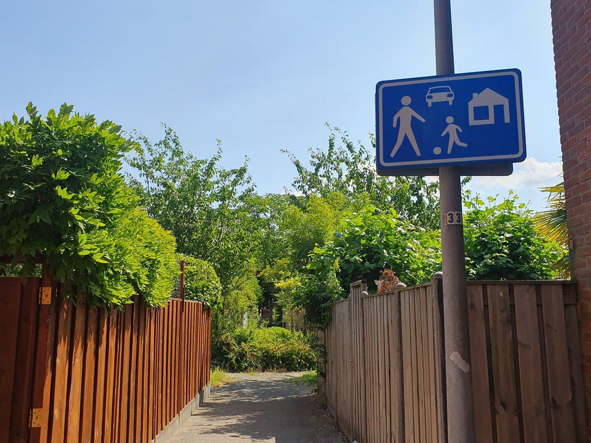 Aorta Utrecht tweet media