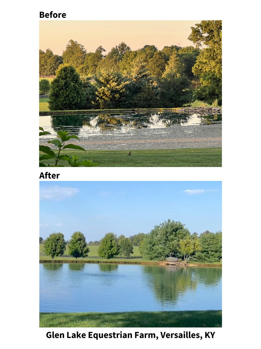 BioBoostNest's tweet image. 