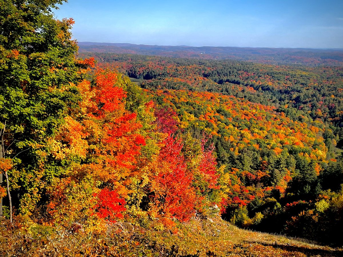 Peak leafs <a href="/CCN_ParcGat/">Parc de la Gatineau</a> #trailrunning