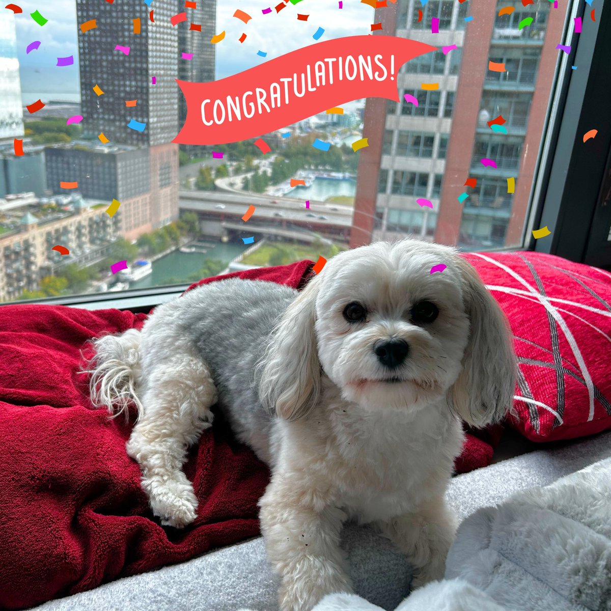 Cityfront Place tweet media