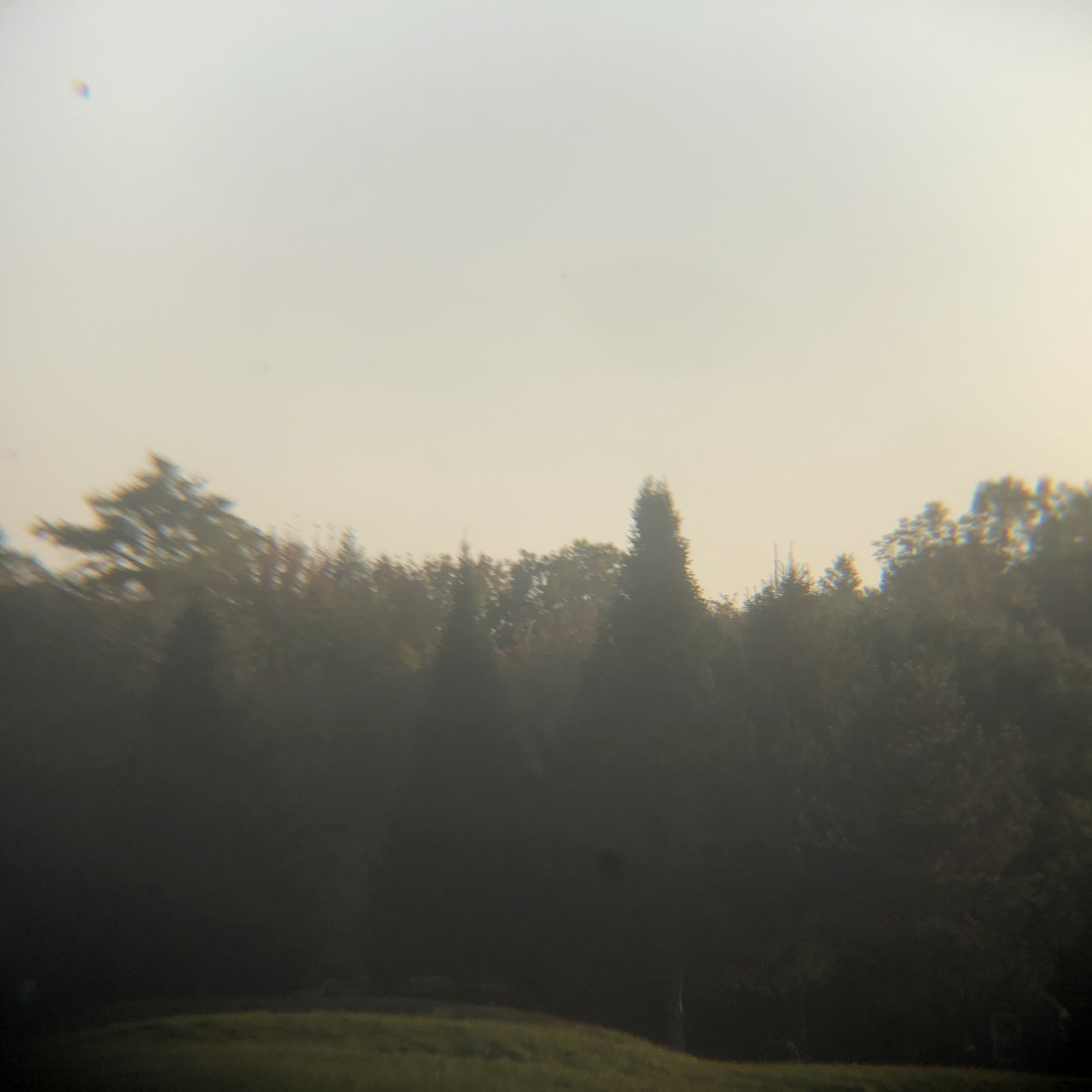 time long lost

#photographylovers #misty #moody #fall #mirror #nature #NaturePhotography #lonliness #dreamcore #liminal