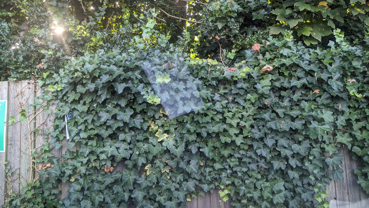 Winchester. The view from my working window.