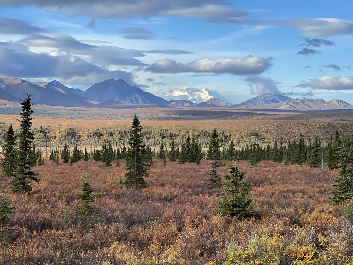 charles johnson tweet media