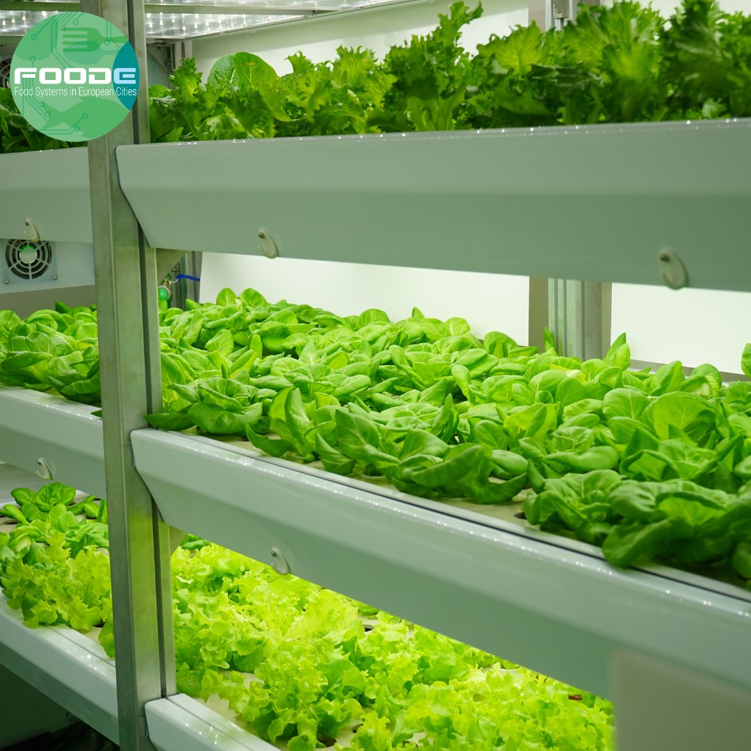 EUFoodE's tweet photo. 🛒 Take a look at this extraordinary approach to grocery shopping in #Sweden 🇸🇪 SweGreen brought vertical farming and grocery shopping under one roof, and it looks amazing!
🎦 https://t.co/1ysGf8DqeS

For all the details ▶️ https://t.co/MIcwXxbNCJ

#FoodE #ThinkGlobalEatLocal https://t.co/8LwFnhtMfH