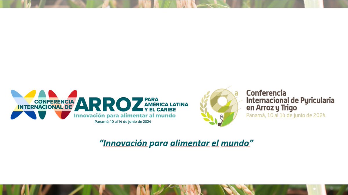 #EnEsteMomento Estamos en la rueda de prensa del lanzamiento de la XIV Conferencia Internacional de Arroz para América Latina y el Caribe 🌾y la Novena Conferencia de Piricularia en Arroz y Trigo, que se llevarán a cabo del 10 al 14 de junio de 2024, en #Panamá🇵🇦 👇