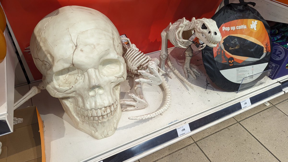 Johnny Chiodini tweet media