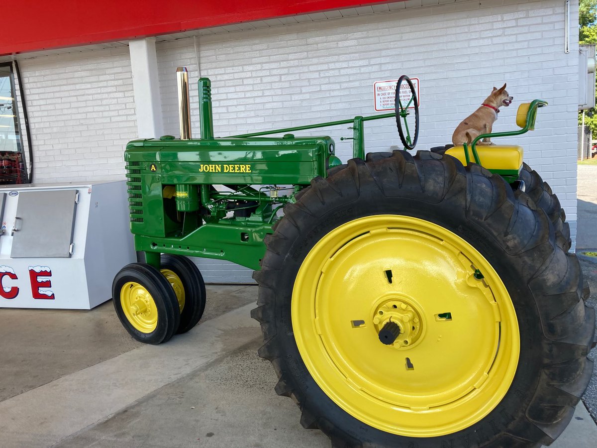 A friend in SC sent us this picture of a restored working 1949 John Deere with a pup as copilot! #JohnDeere #tractor #dogs #dogsoftwitter #workingdogs