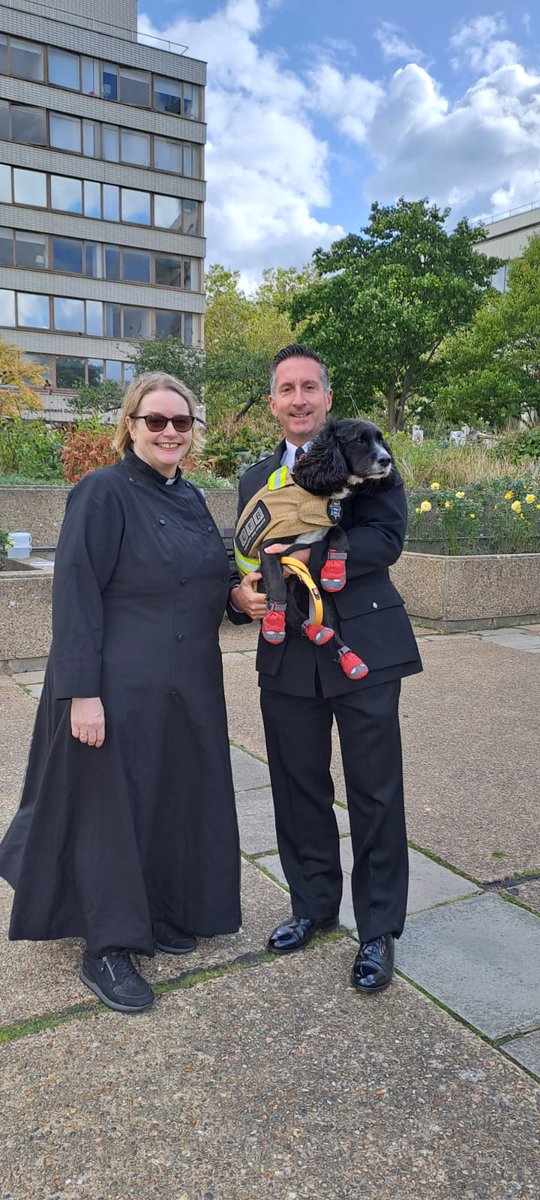 LondonFire's tweet photo. Earlier today, fire dog Sherlock attended a special annual service hosted by the Brigade's chaplain Mia Hilborn for animals that serve us 🐶 

He received a blessing, alongside other four-legged friends, to thank them and their handlers for their work. https://t.co/y2LJkD1O2Y