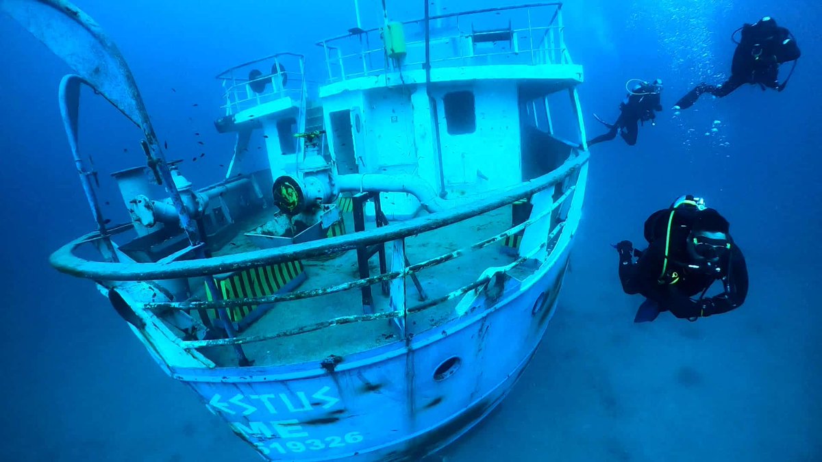 ScubaverseMedia's tweet photo. Have you been diving with Dive on Malta? Rate and review them in the Scubaverse Dive Guide!
https://t.co/KjqQuNWjeF
#scuba #diving #dive #trip #travel #holiday #vacation #StPaulsBay #buggiba #malta #gozo #comino https://t.co/Sf7UKeCkfu