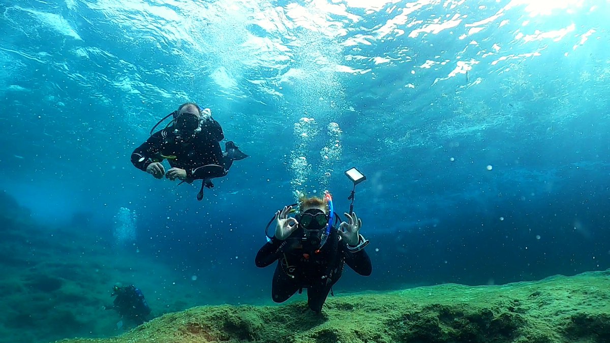 ScubaverseMedia's tweet photo. Have you been diving with Dive on Malta? Rate and review them in the Scubaverse Dive Guide!
https://t.co/KjqQuNWjeF
#scuba #diving #dive #trip #travel #holiday #vacation #StPaulsBay #buggiba #malta #gozo #comino https://t.co/pntI9boVTC